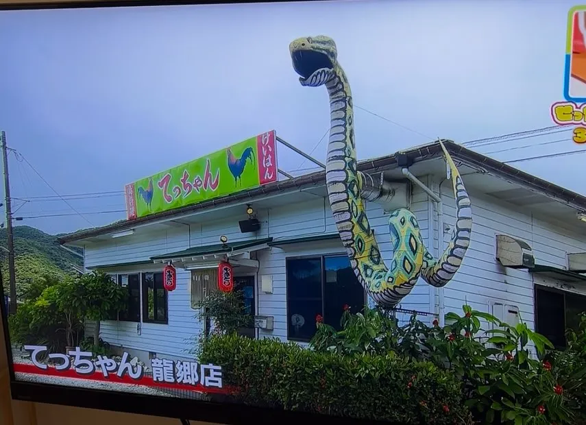 『生まれ故郷、奄美大島』